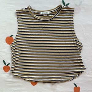 American Eagle Cropped Stripped Tank Top